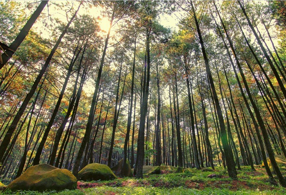 Gunung Pancar