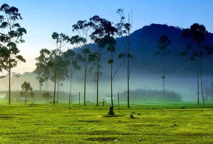 Bumi-Perkemahan-Ranca-Upas