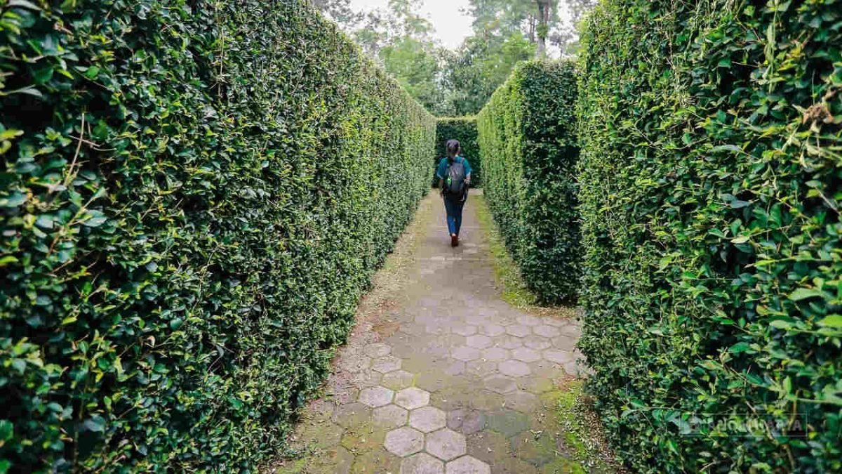 Taman Labirin - Tempat Romantis di Medan