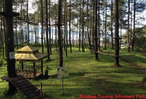 Bandung Treetop Adventure Park