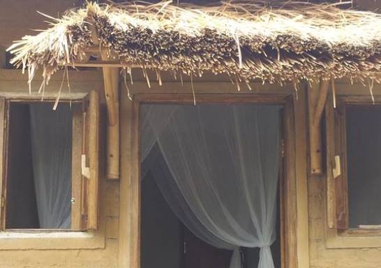 Homestay Baleku Trawangan