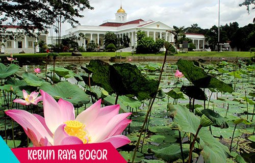 Kebun Raya Bogor