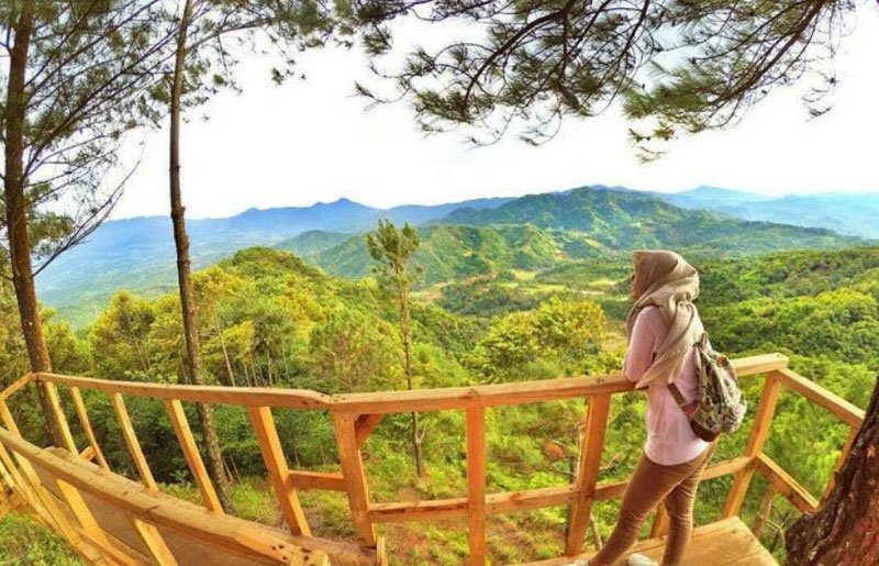 Rumah Kayu Curug Ciherang Bak Negeri Dongeng