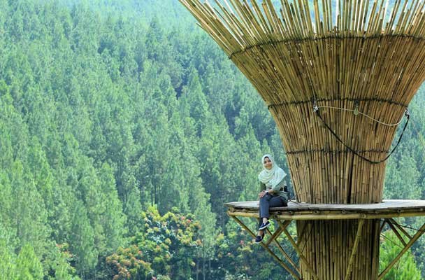 Sky Bamboo The Lodge