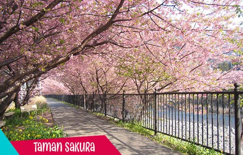 Taman Sakura