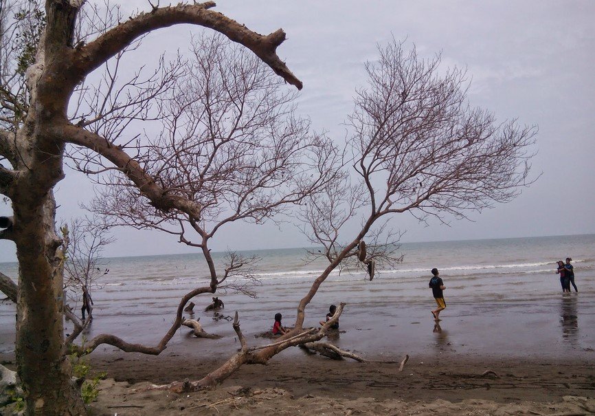 Pantai Cirewang