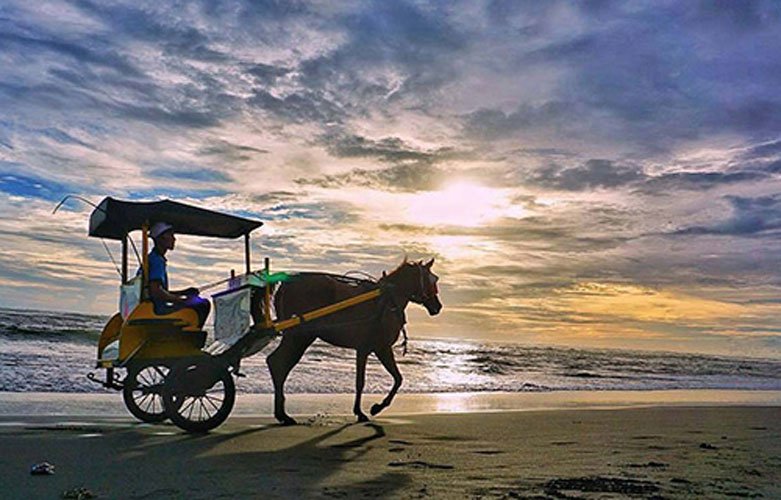 Fasilitas Pantai Parangtritis