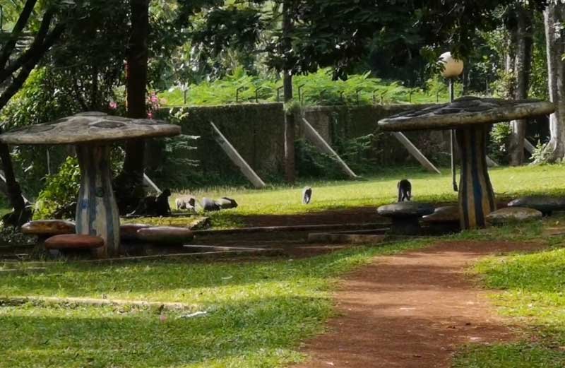 Taman Bunga Wiladatika Depok Monyet