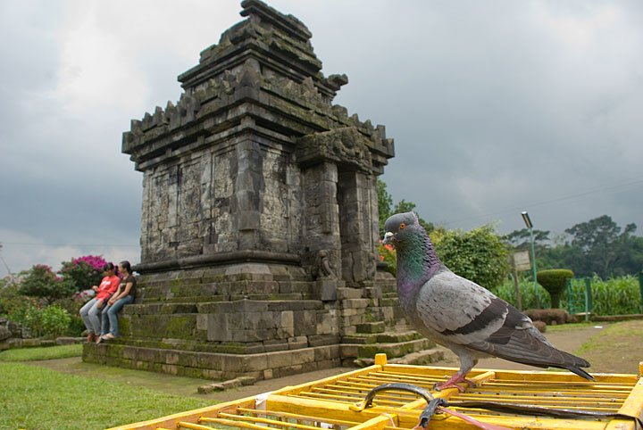 Wisata Candi Pringapus di Pringsurat Temanggung Jawa Tengah