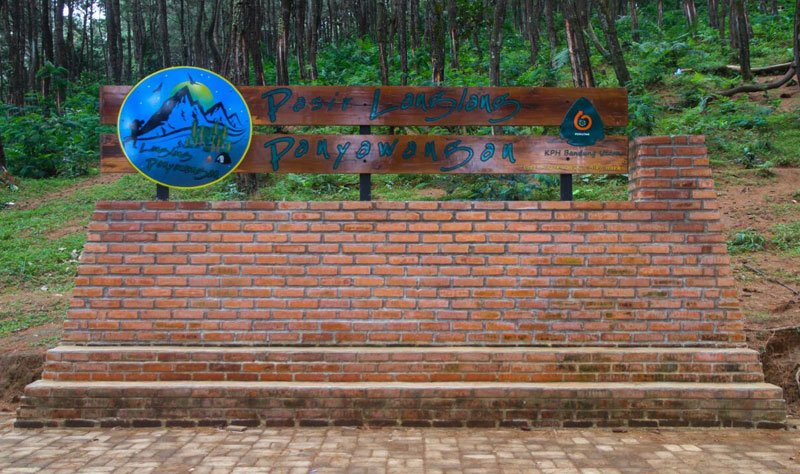Wisata Hutan Pinus Pasir Langlang Panyawangan