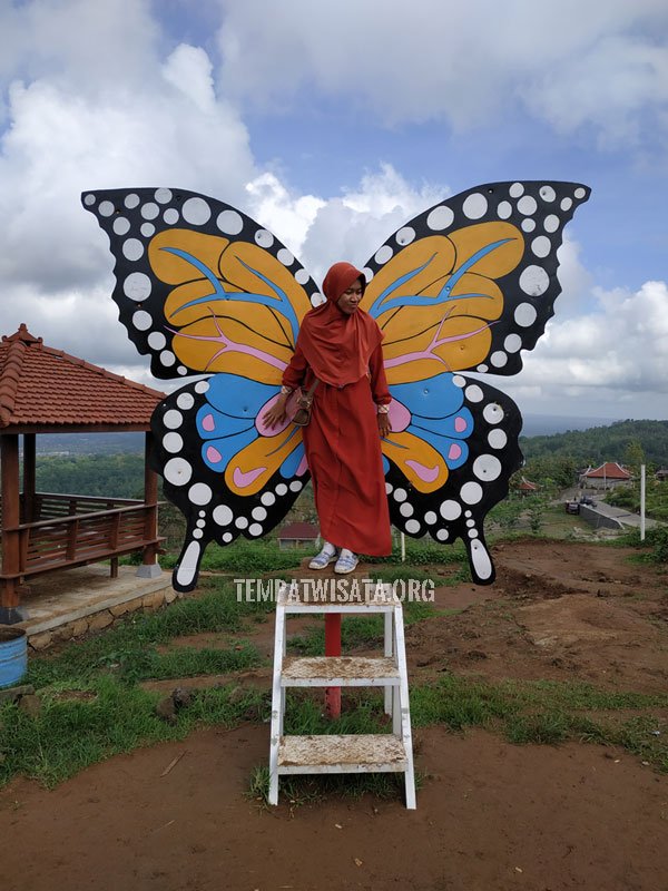 Spot Kupu Tebing Breksi