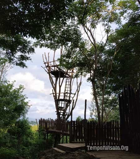 Gardu Pandang Hutan Pinus Mangunan