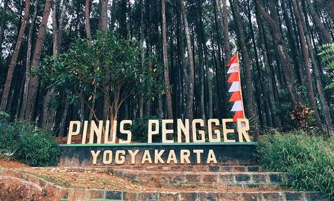 Hutan Pinus Pengger