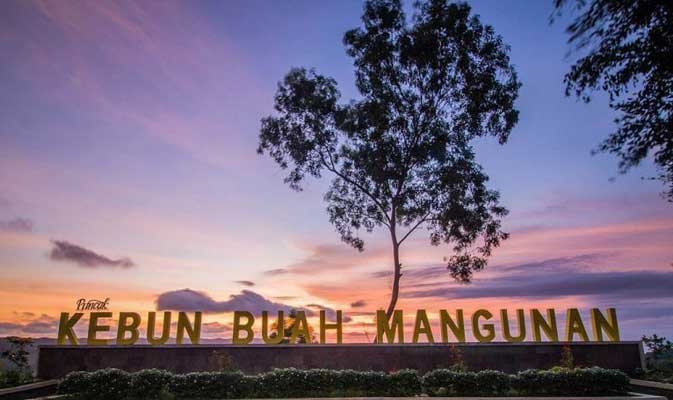 tempat wisata Kebun buah mangunan