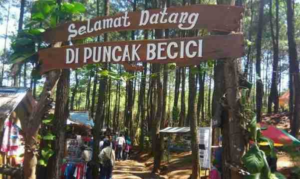tempat wisata puncak becici