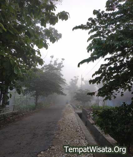 Kabut-menyelimuti-desa