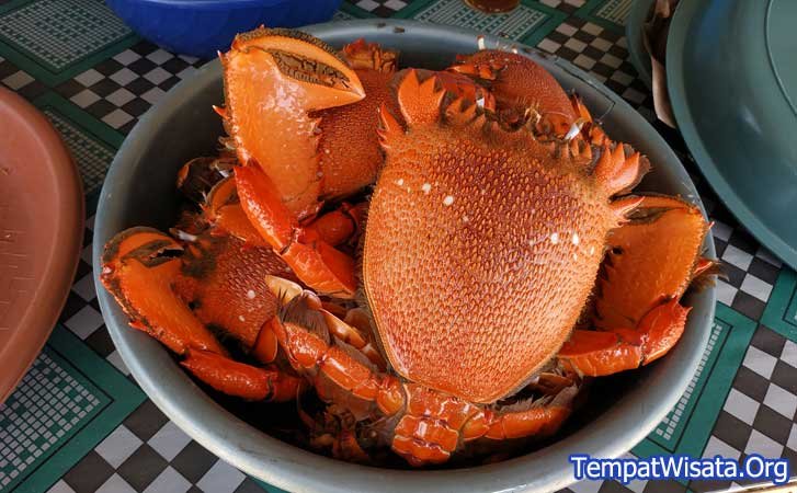 Kepiting-Karang