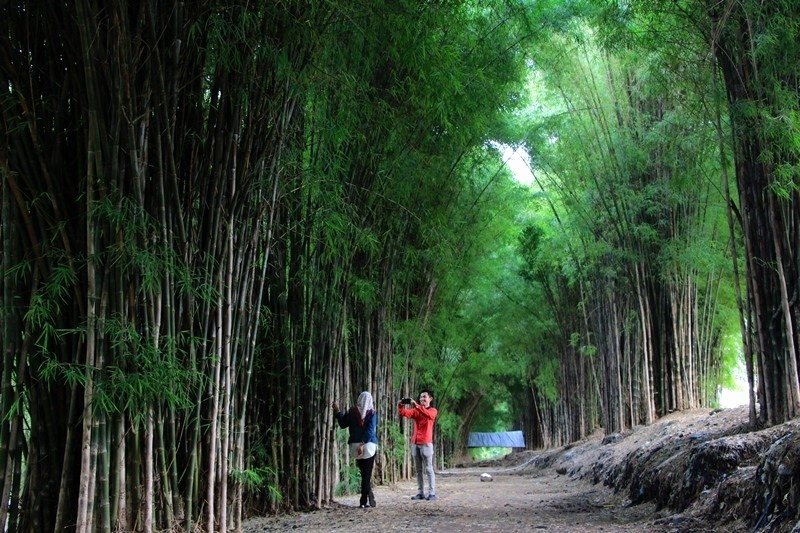 Tempat Wisata Di Surabaya Yang Hits Dan Populer Beautiful Hutan Bambu Surabaya