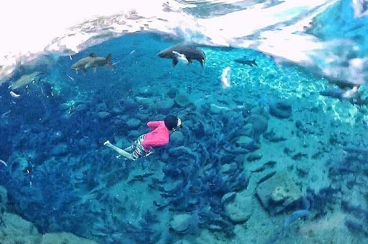 Pemandian-Banyu-Biru