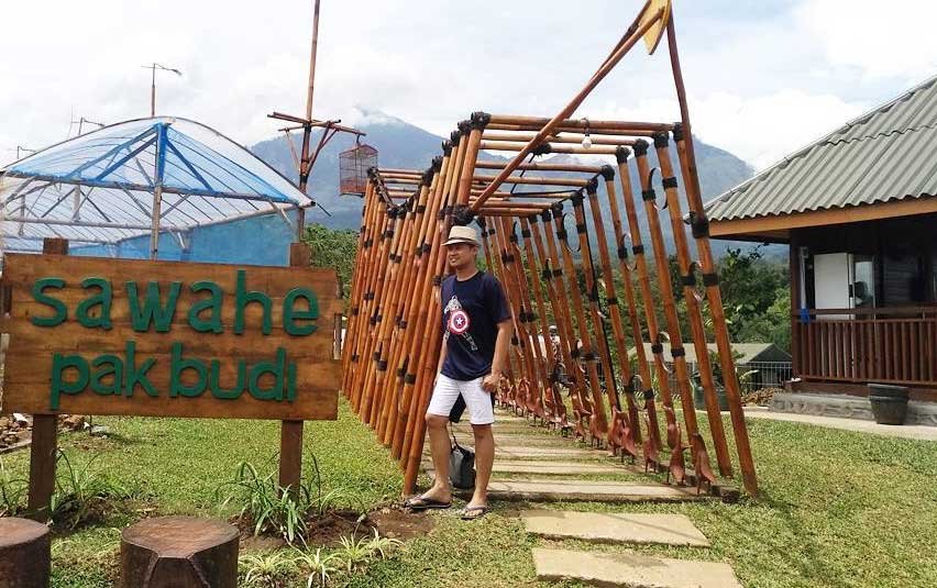 Wisata-di-Pasuruan-Sawahe-Pak-Budi