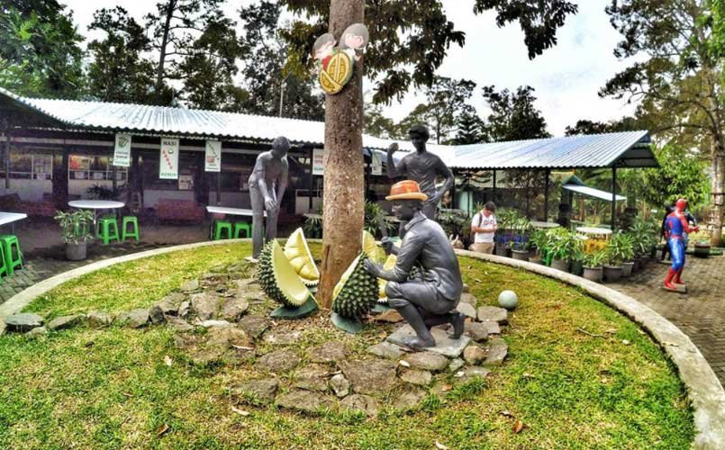 Wisata-di-Trawas-Fresh-Green-Trawas